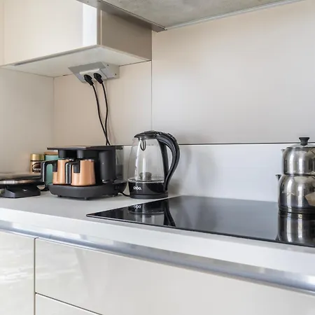 Modern Large In Great Location Apartment Istanbul